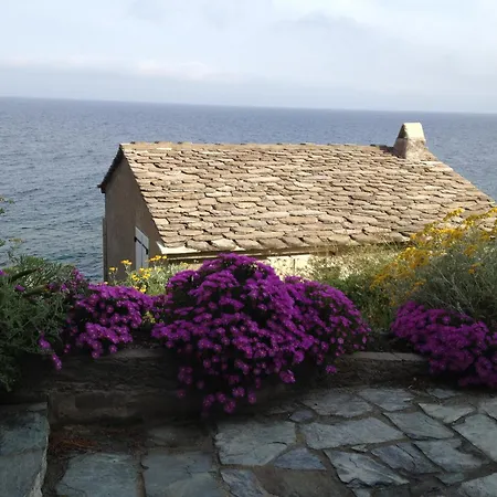 Holiday home Cabanon Severin *